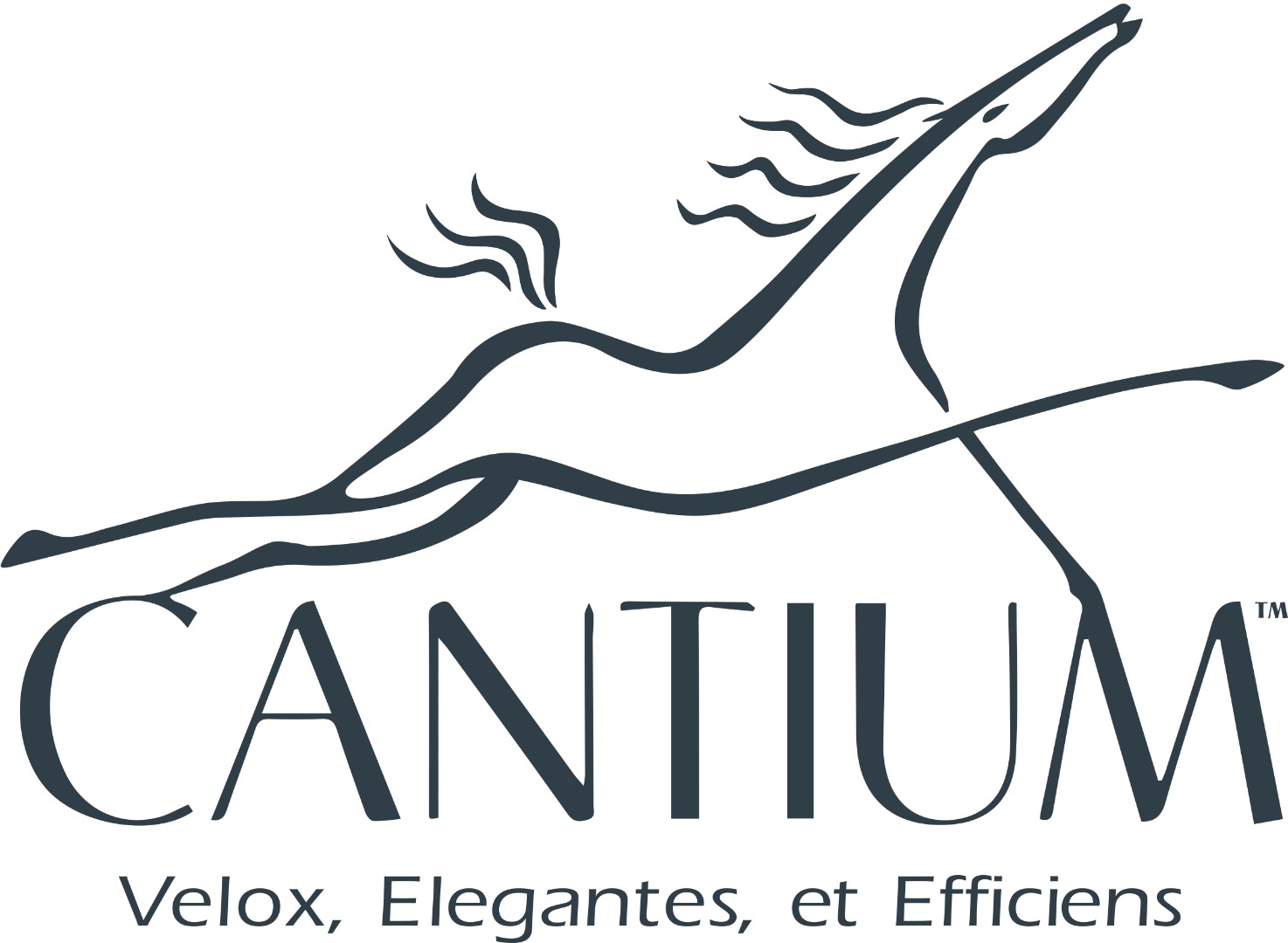 Cantium_Logo_Text_Tagline