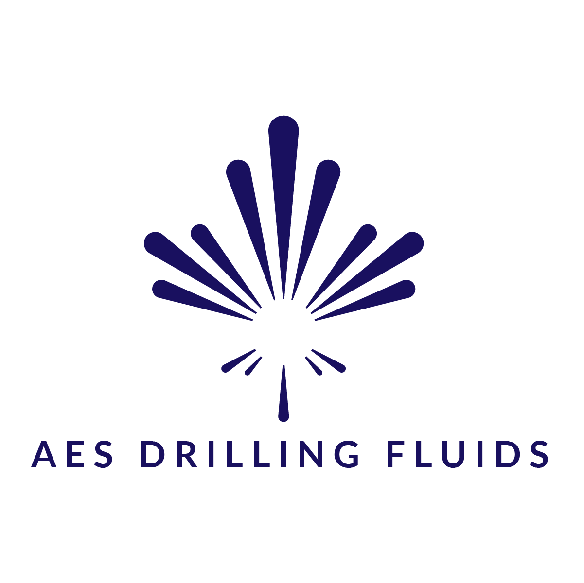 aes-bottom-logo-blue-text